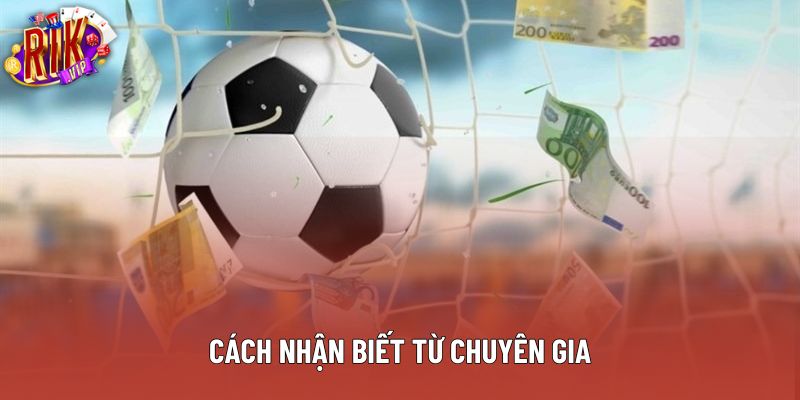 Cách nhận biết từ chuyên gia Cách nhận biết từ chuyên gia